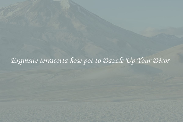 Exquisite terracotta hose pot to Dazzle Up Your Décor  