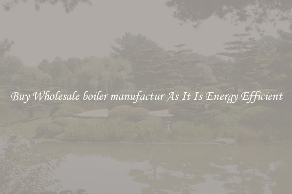 Buy Wholesale boiler manufactur As It Is Energy Efficient
