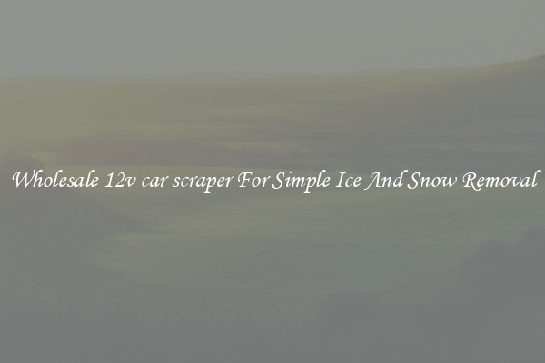 Wholesale 12v car scraper For Simple Ice And Snow Removal