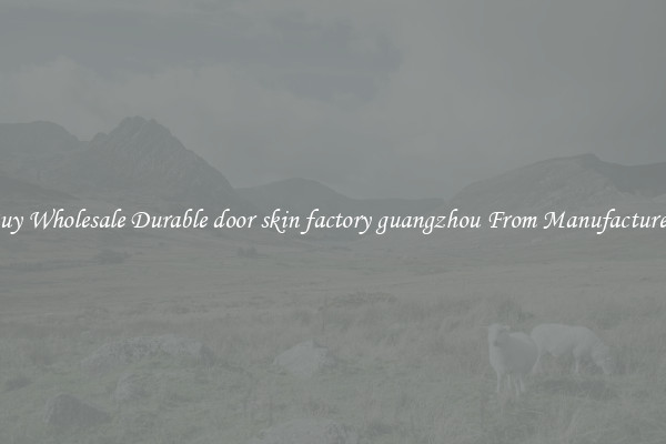 Buy Wholesale Durable door skin factory guangzhou From Manufacturers