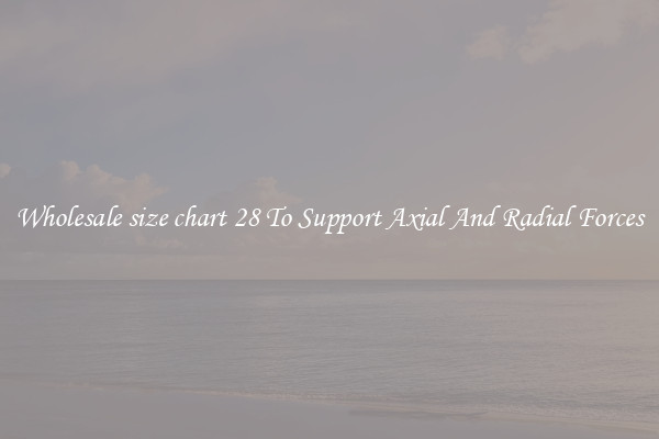 Wholesale size chart 28 To Support Axial And Radial Forces
