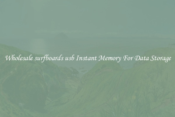 Wholesale surfboards usb Instant Memory For Data Storage