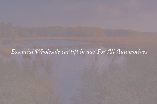 Essential Wholesale car lift in uae For All Automotives