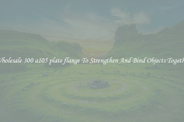 Wholesale 300 a105 plate flange To Strengthen And Bind Objects Together