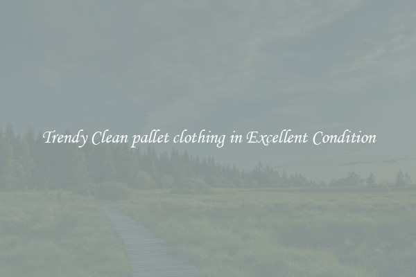 Trendy Clean pallet clothing in Excellent Condition