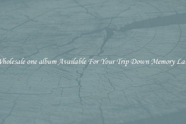 Wholesale one album Available For Your Trip Down Memory Lane