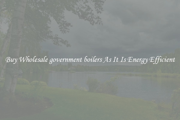 Buy Wholesale government boilers As It Is Energy Efficient