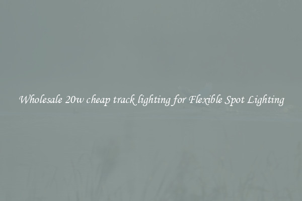 Wholesale 20w cheap track lighting for Flexible Spot Lighting