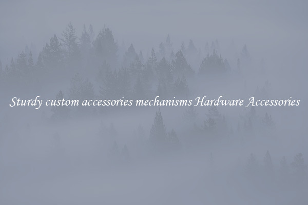 Sturdy custom accessories mechanisms Hardware Accessories