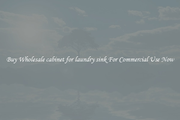 Buy Wholesale cabinet for laundry sink For Commercial Use Now