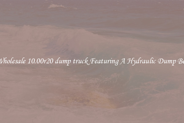Wholesale 10.00r20 dump truck Featuring A Hydraulic Dump Bed