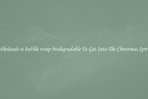 Wholesale is bubble wrap biodegradable To Get Into The Christmas Spirit