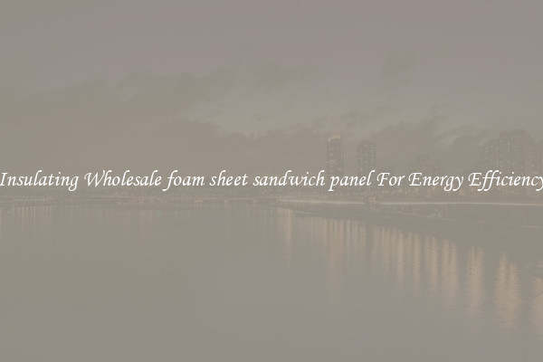 Insulating Wholesale foam sheet sandwich panel For Energy Efficiency
