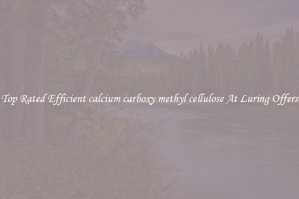 Top Rated Efficient calcium carboxy methyl cellulose At Luring Offers