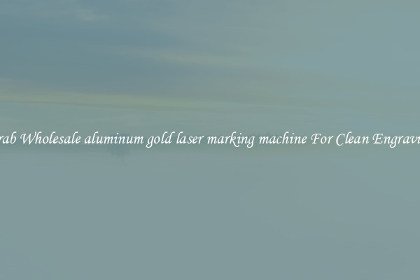 Grab Wholesale aluminum gold laser marking machine For Clean Engraving