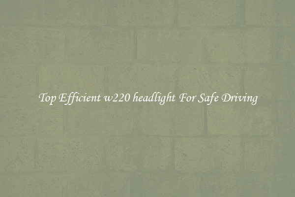 Top Efficient w220 headlight For Safe Driving