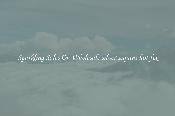 Sparkling Sales On Wholesale silver sequins hot fix