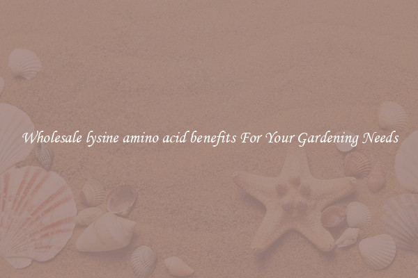 Wholesale lysine amino acid benefits For Your Gardening Needs