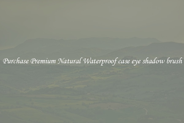 Purchase Premium Natural Waterproof case eye shadow brush