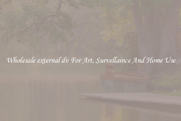 Wholesale external dv For Art, Survellaince And Home Use